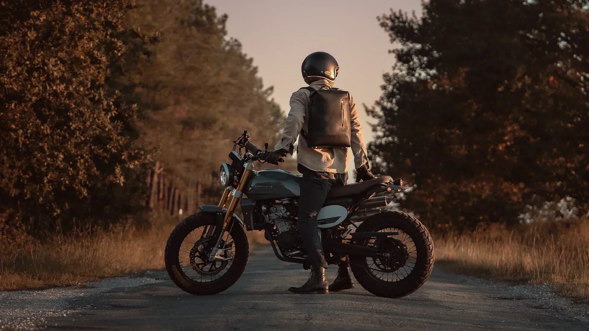 Sous les pins – une matinée d’automne dans les Landes