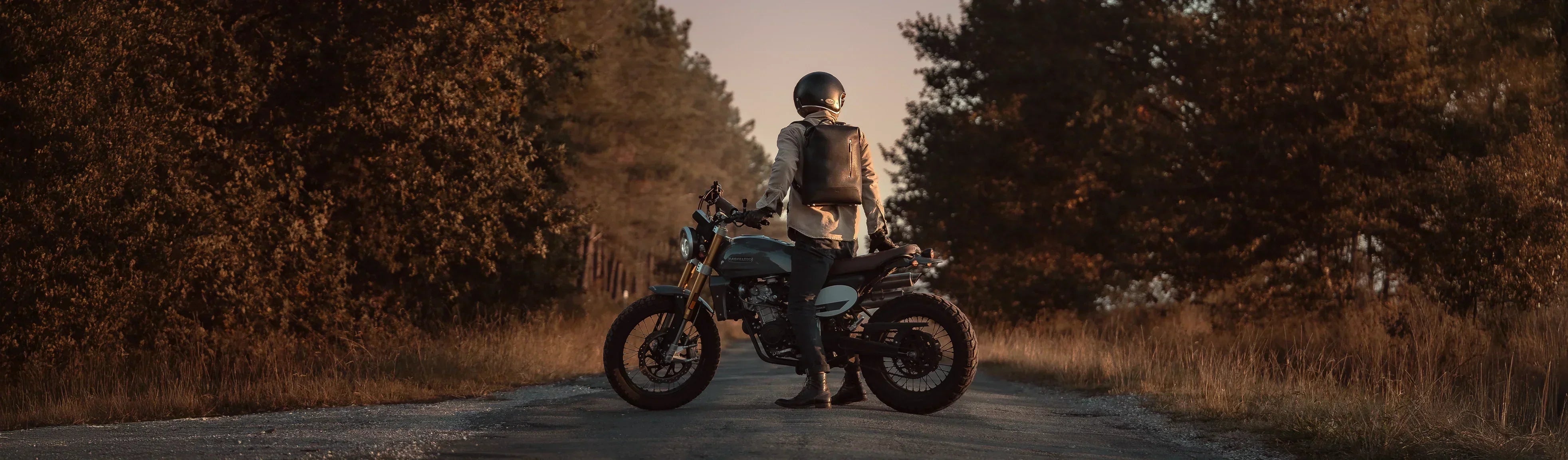 Sous les pins – une matinée d’automne dans les Landes